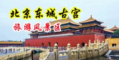 骚鸡巴榨精喷潮视频中国北京-东城古宫旅游风景区